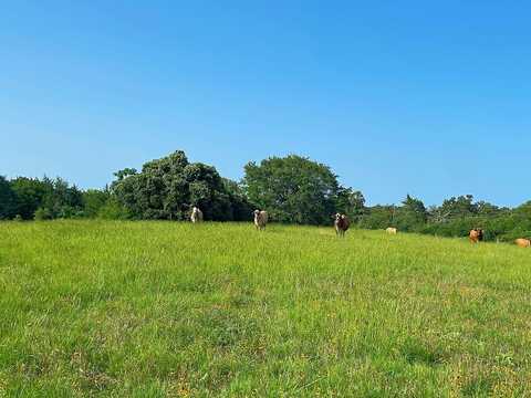 7800 Farm To Market 1948 Rd W, Burton, TX 77835