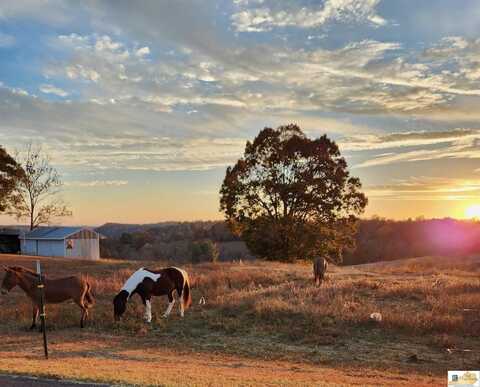 00 Casey Creek Road, Columbia, KY 42728