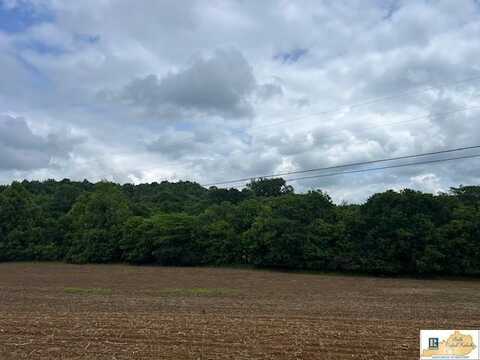54 W Judio Road, Tompkinsville, KY 42167