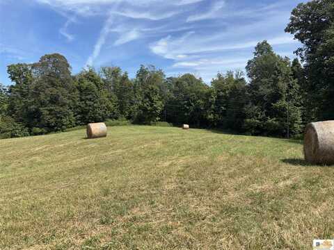 300 Helm Lane, Jamestown, KY 42629