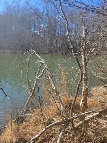 Riceville Road, Riceville, VA 24565
