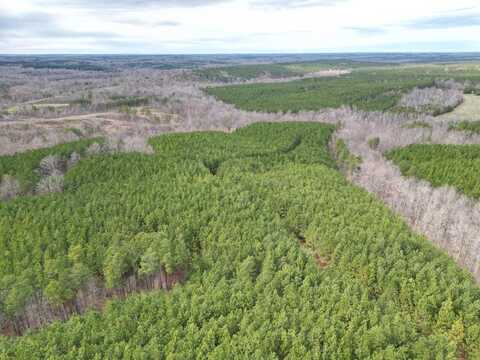 Scuffletown Road, Randolph, VA 23967