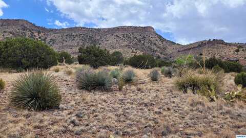 undefined, Mimbres, NM 88049
