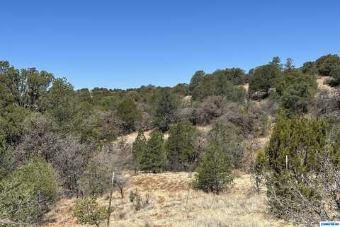 undefined, Silver City, NM 88061