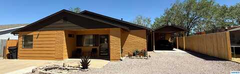 undefined, Tyrone, NM 88065