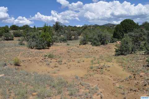 undefined, Silver City, NM 88061