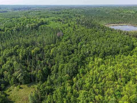 121.49 Acres Forest Road 602, Butternut, WI 54514