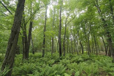 Lot 1`csm 2309 Deer Run, Montello, WI 53949