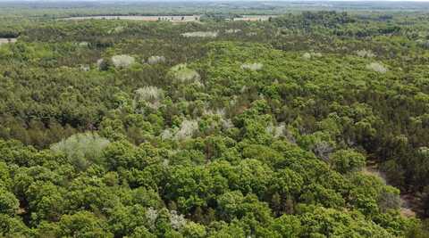 Lot 38 Nina Drive, Lyndon Station, WI 53944