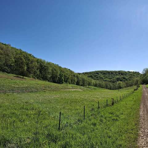 40 Acre Lot Walnut Lane, Richland Center, WI 53581