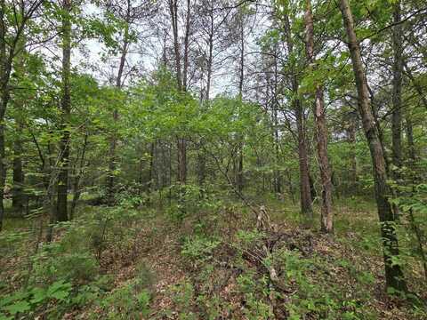 Lot 1 16th Avenue, Necedah, WI 54646