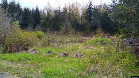 Nhn Sawmill Creek Road, Haines, AK 99801