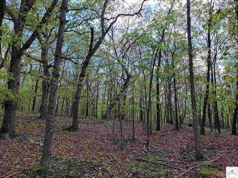 Lots 1144 Elliott, Edwards, MO 65326
