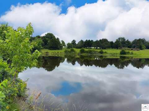 31.50 Acres C, Lincoln, MO 65338