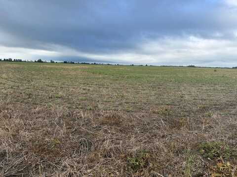 County Road 406, Hayti, MO 63851
