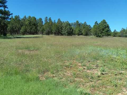 344 Forest Rd 83, Pecos, NM 87552