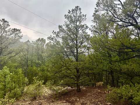 1 Acre Highway 63, Pecos, NM 87552
