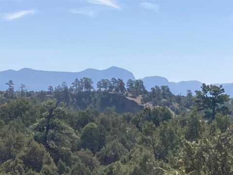 Shroyer Dr. Hacienda Tr 1A, Rutheron, NM 87551