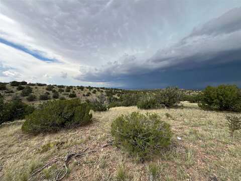 29 Trigg Trail, Cerrillos, NM 87010