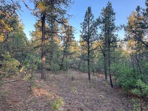 120 Skyland Blvd, Tijeras, NM 87059