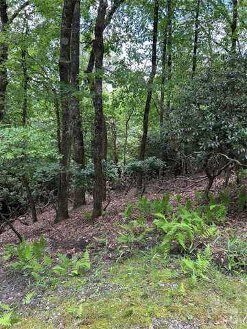 Tbd Connestee Trail, Brevard, NC 28712