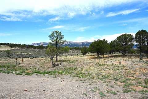 52 Canjillon, Tierra Amarilla, NM 87551