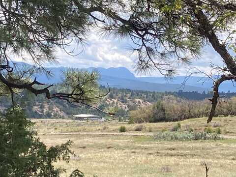 Tbd Willow Way TR 3-7, Chama, NM 87520