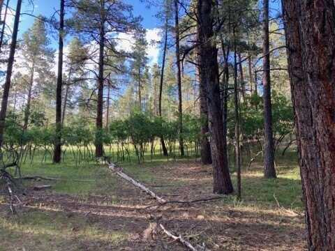 Tbd Brazos Lodge Estates, Tierra Amarilla, NM 87575