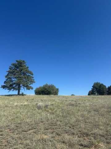 Lot 9 1796 (Deer Trail), Chama, NM 87520