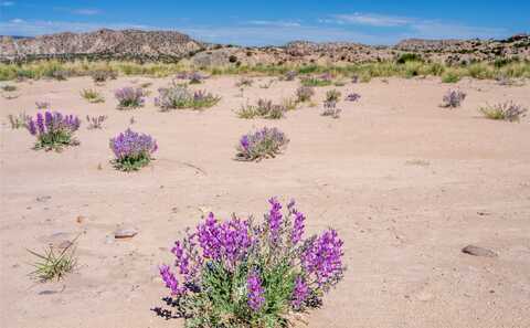 Tbd US Highway 285, Ojo Caliente, NM 87549