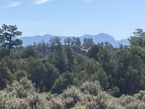 Tbd Shroyer Dr Hacienda Tr 1B, Rutheron, NM 87551