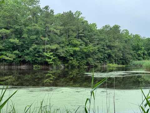 Lot 1879 BUCCANEER BLVD, GREENBACKVILLE, VA 23356