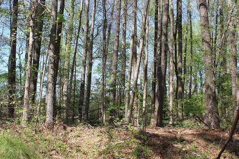 2086 CUTLASS, GREENBACKVILLE, VA 23356