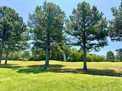 309 CAPTAIN ORRIS BROWNE, CAPE CHARLES, VA 23310