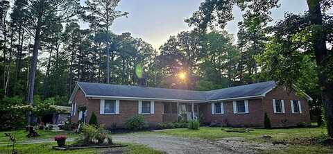 21020 ADAMS ROAD, GREENBUSH, VA 23357