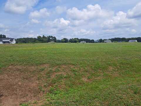 #46 OLD MILL LN, NEW CHURCH, VA 23415