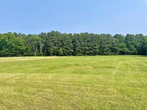Lot 55 LEWIS LANE, PARKSLEY, VA 23421