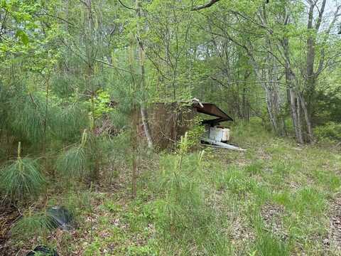 24264 SAVANNAH RD, HALLWOOD, VA 23359