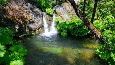 000 Grizzly Gulch Road, Whiskeytown, CA 96095