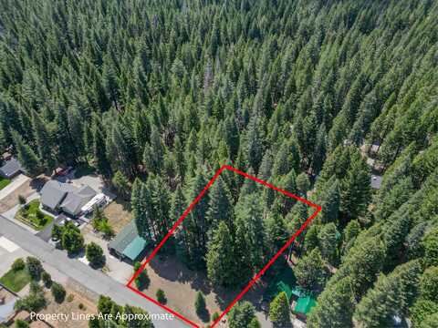 Nehemiah Drive, Shingletown, CA 96088