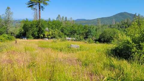 Lot 5 Gulch Road, Round Mountain, CA 96084