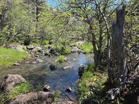 000 Pitville Road, McArthur, CA 96056