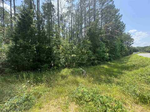 0 Hwy 19, Vina, AL 35593