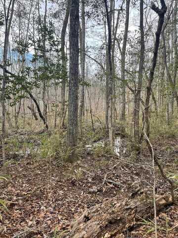 0 Co Rd 10, Hamilton, AL 35570