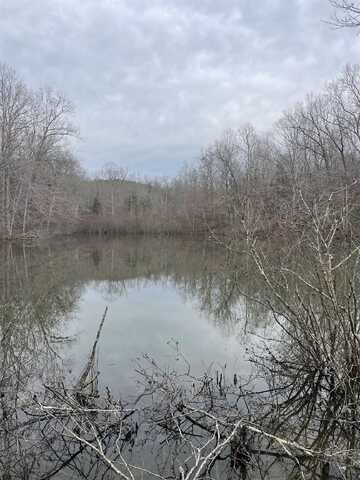 0 Co Rd 10, Hamilton, AL 35570