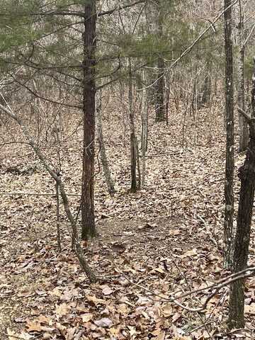 0 Co Rd 10, Hamilton, AL 35570