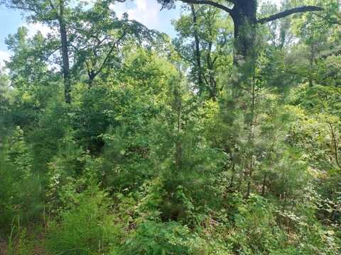 00 Hwy 195, Double Springs, AL 35553