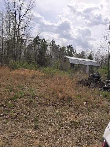1497 Co Rd 117, Hodges, AL 35571