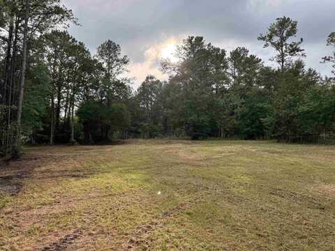 00 Harvest Way, Middleburg, FL 32086
