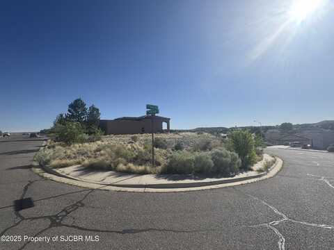 4721 HILLTOP Court, Farmington, NM 87402